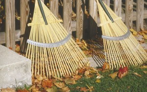 Fall lawn care tips