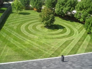 best lawn care service
