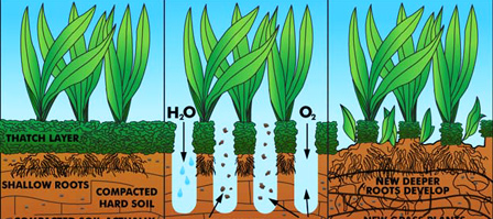 Aeration