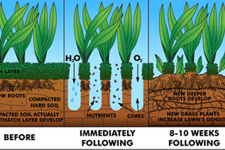 Aeration