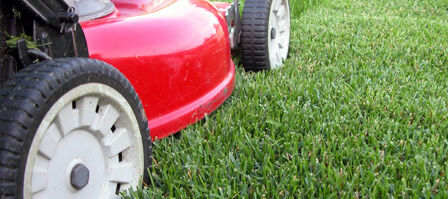 Lawn Maintenance