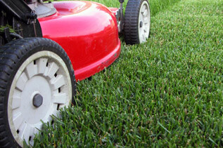 Lawn Maintenance