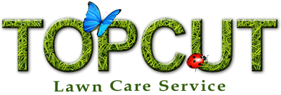 Top Cut Lawn Care Service