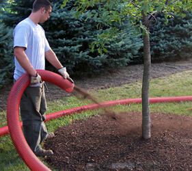 Mulch Installation