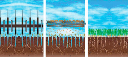 Overseeding