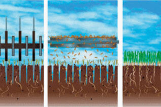 Overseeding