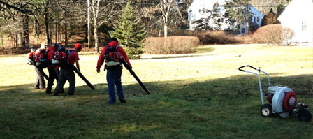 Seasonal Cleanups