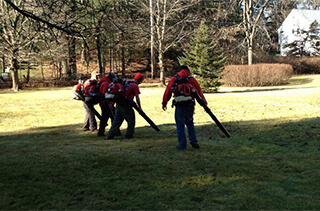 Seasonal Cleanups