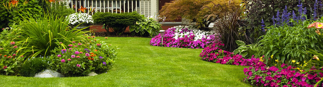 Top Cut Lawn Care Service